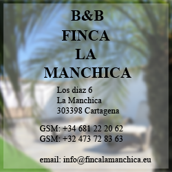 finca la manchica